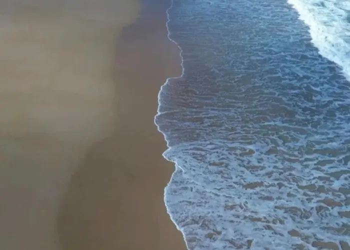 Fuertevida Caleta De Fuste